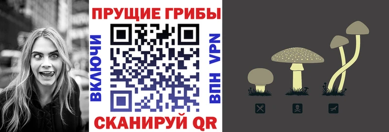 Галлюциногенные грибы мухоморы  Артёмовск 